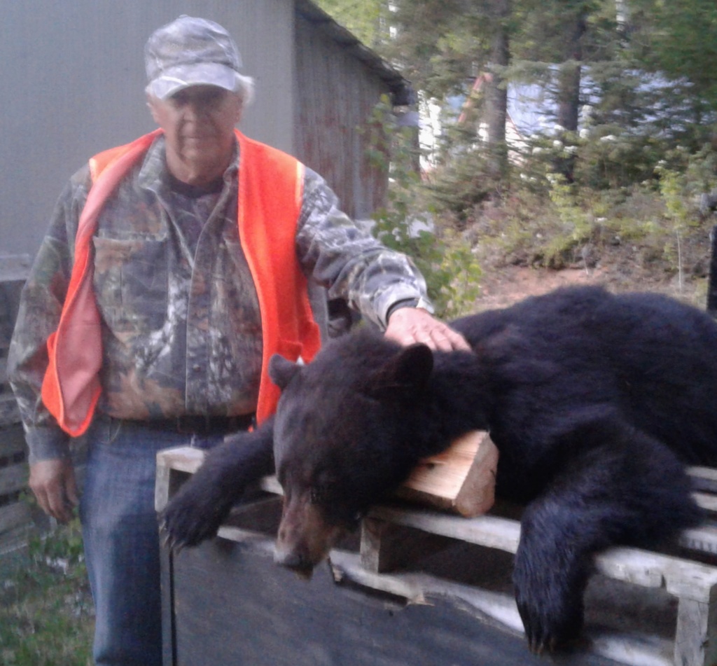 OUVERTURE CHASSE a L'OURS 20181110