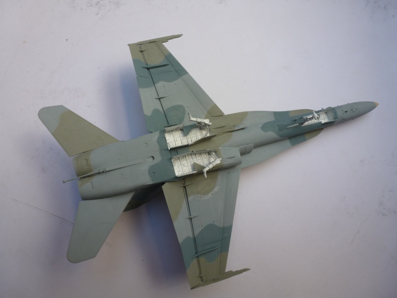 [Academy] FA 18 C  Hornet - Koweit AF   00411