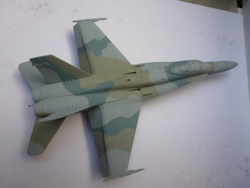 [Academy] FA 18 C  Hornet - Koweit AF   00511