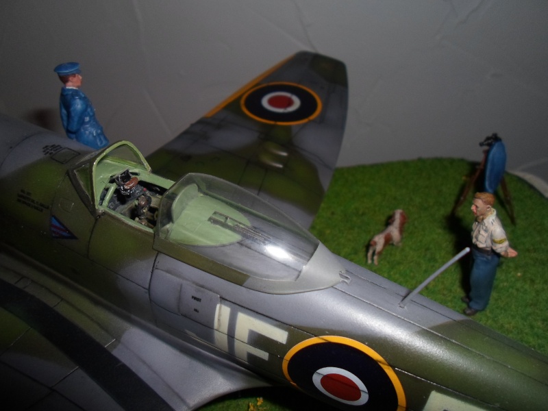 Hawker Tempest 1/32 Sam_0316