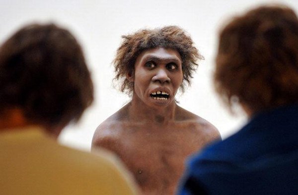 Teori e re shokuese: Njerezit i kane ngrene Neandertalet Neande10