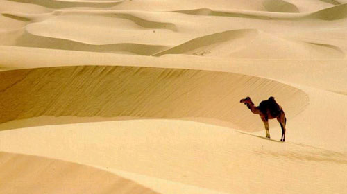 Saharaja u thye në shkretëtirë për një ‘çast’ Planet10