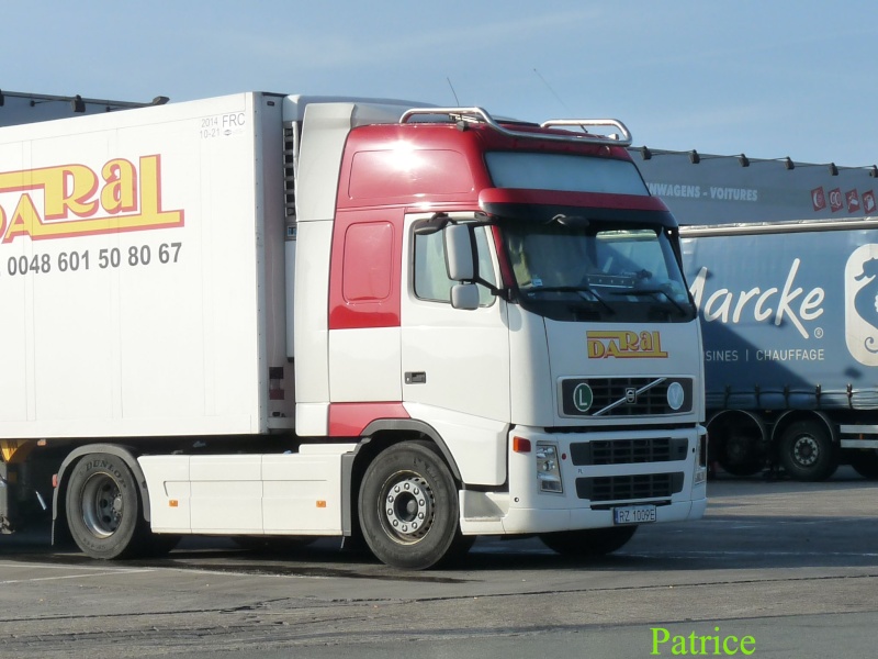 Daral (Rzeszow) 006_co11