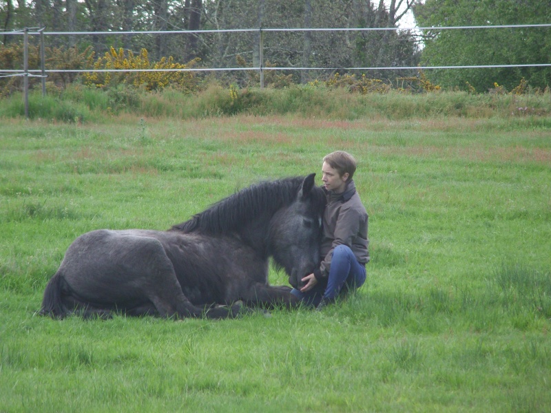 MELODIE DE LA NOTTE et CESAR, percherons et Charlotte33  (Mars 2012) - Page 36 Snb12013