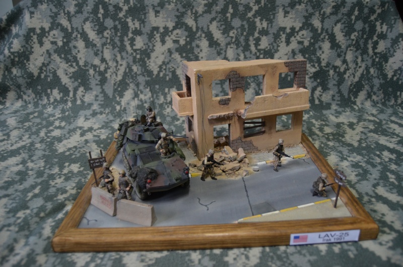 LAV-25 Piranha en ville (Trumpeter 1/35) Dsc_0510
