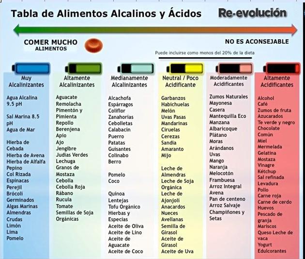 ALIMENTOS ALCALINOS Y ACIDOS Alimen10