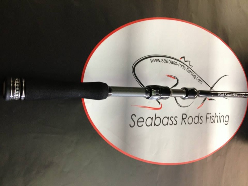 presentation canne seabass rods finshing 37976110
