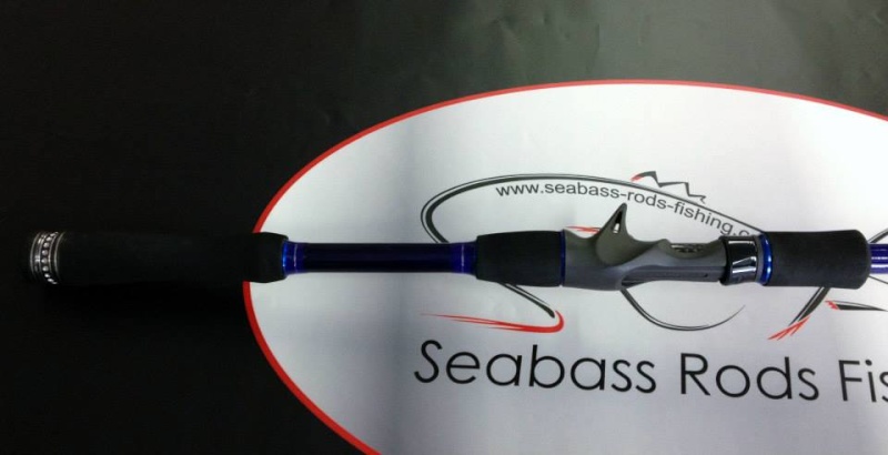presentation canne seabass rods finshing 60175010