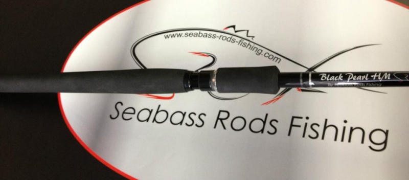 presentation canne seabass rods finshing 94125410