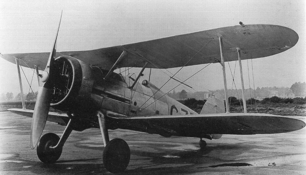 [Concours l'ÂGE D'OR] Gloster Gladiator Mk.I   73 squadron 1937 - Page 2 1794px10