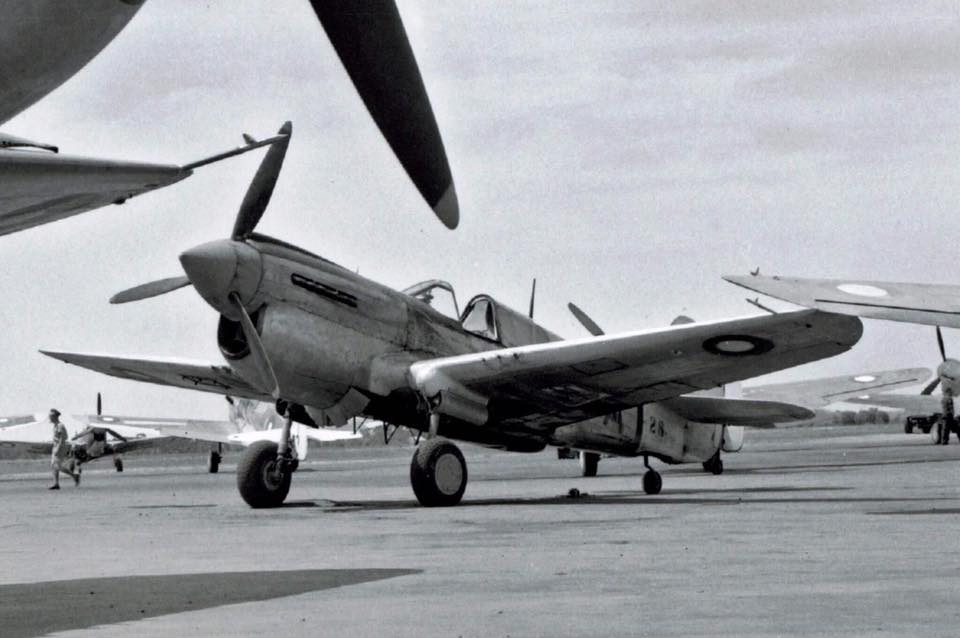 [Hasegawa] 1/32 - Curtiss P-40E Kittyhawk   - Page 7 20245511
