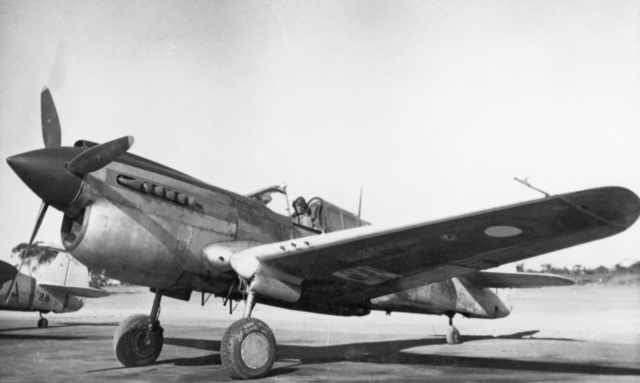 [Hasegawa] 1/32 - Curtiss P-40E Kittyhawk   42193410