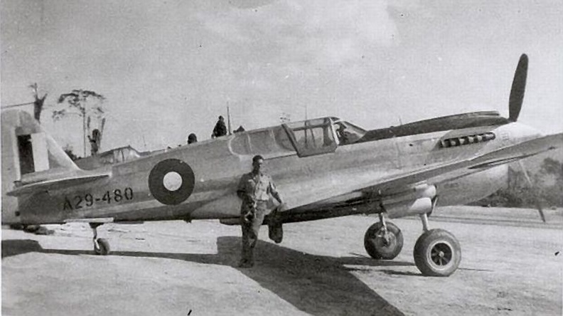 [Hasegawa] 1/32 - Curtiss P-40E Kittyhawk   P0267710