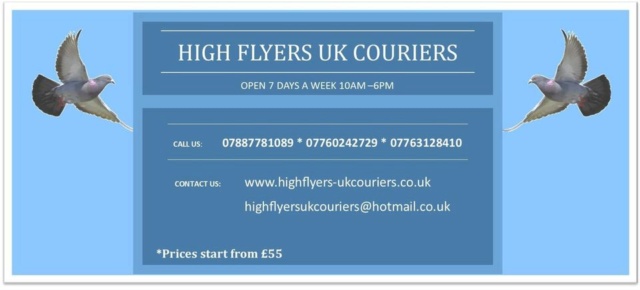 Pigeon couriers  29073110
