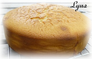 Gateau Au Lait Condense Sucre Eagle Brand Gateau Au Lait Condense Sucre Eagle Brand