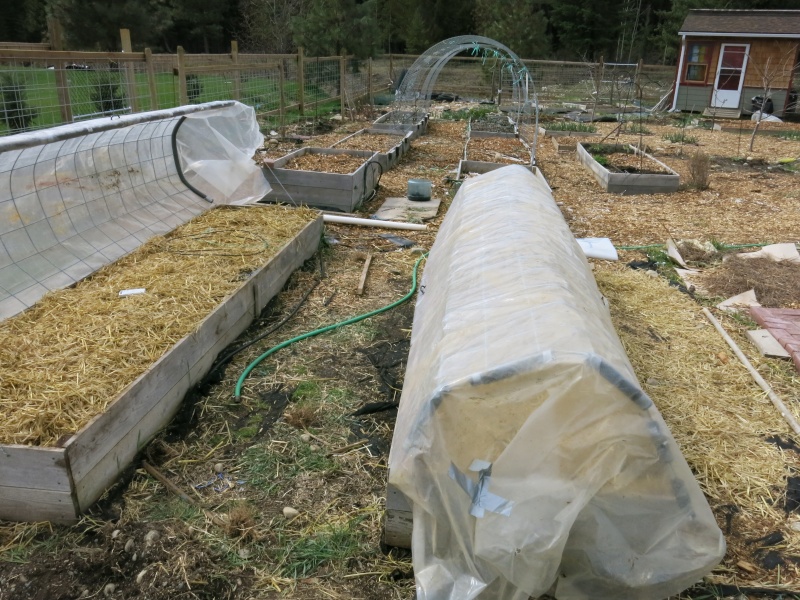 HOME MADE GREENHOUSE Img_0911