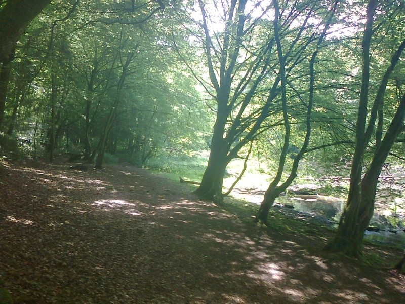 Sortie du jour - Ourthe banale - Page 2 Photo015