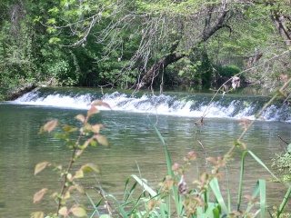 (34) Balade à la source de l'Avy et au bord de la Mosson 32010