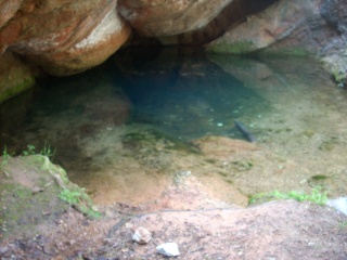 (34) Balade à la source de l'Avy et au bord de la Mosson 32710