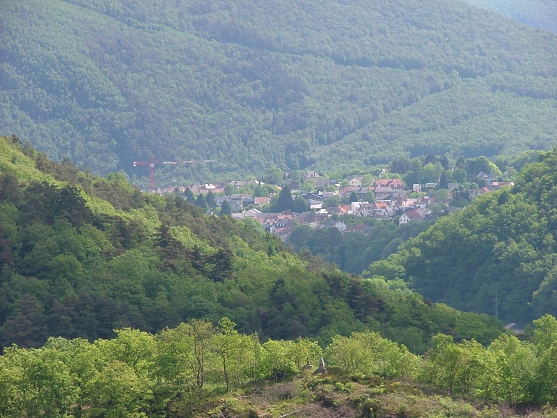 Voyage d'une eriba dans les ardennes ! Dscf2511