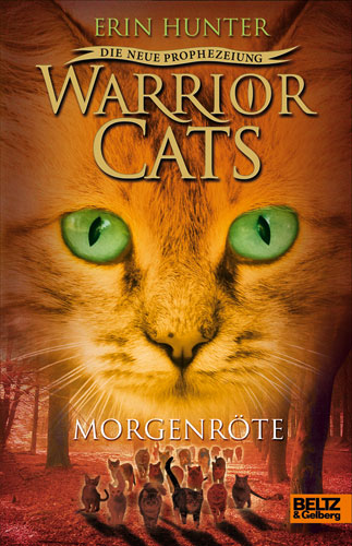 Warrior Cats Staffel 2 Band 3 - Morgenröte Morgen10