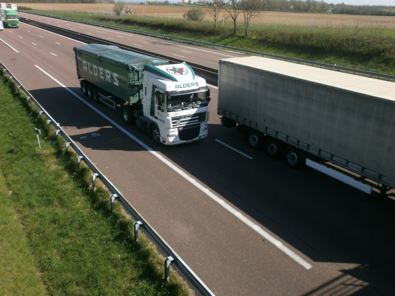 Alders - Altrea Logistics (Overpelt) P4230141