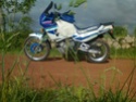 Vos avis sur ces deux motos: DR 350 (suzuki) et XR 350 (Honda).. - Page 2 Photo073