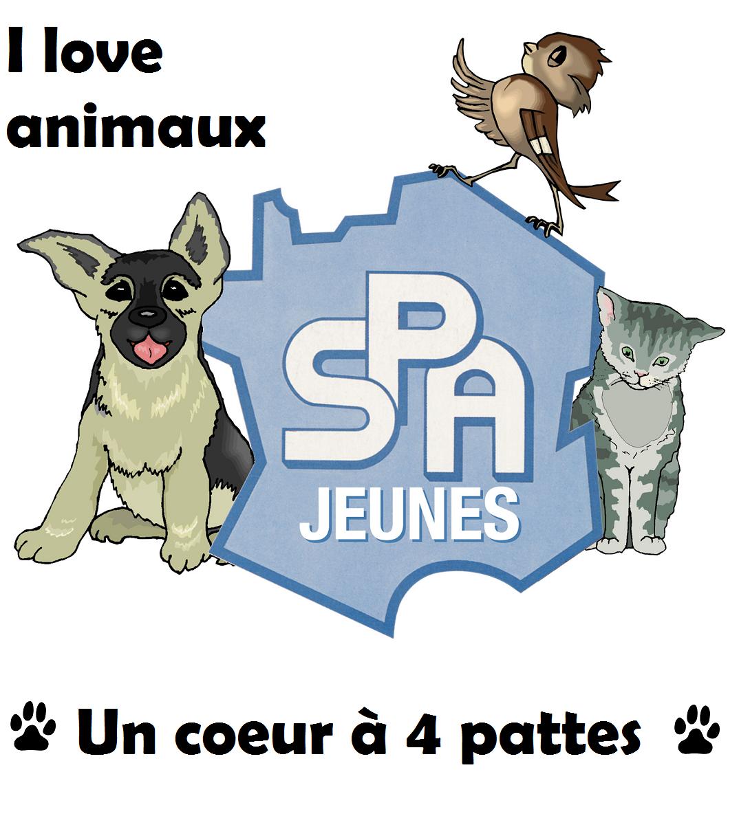 Les campagnes d'affichage personnalisées NEW Logo_j12