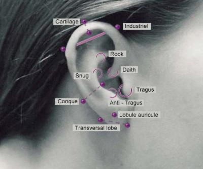 FAQ  PIERCING OREILLE - Page 12 Pierc10