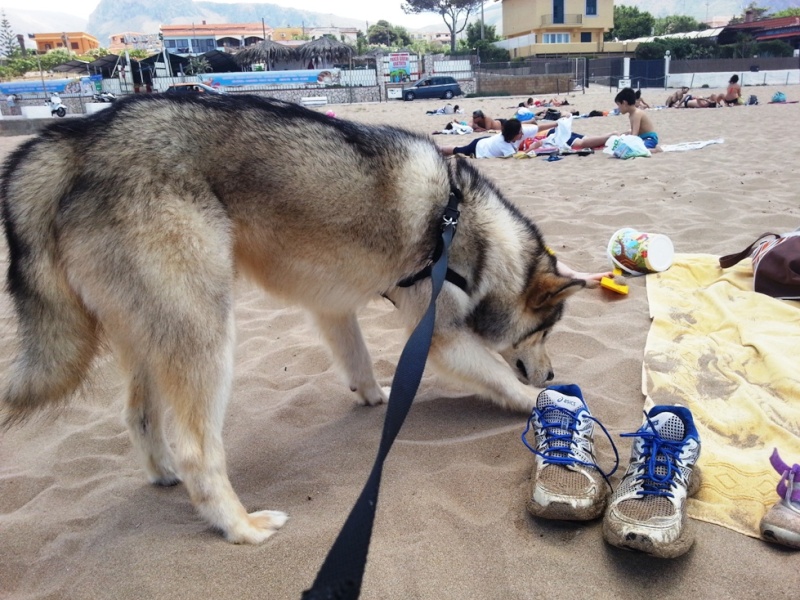 ANUK X LA PRIMA VOLTA IN SPIAGGIA 111