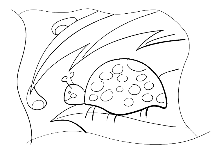 "dessins" d' Hellebore ! Coccin10