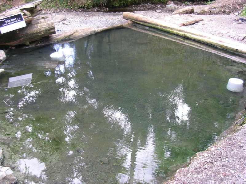 Baker Hot Springs 4/25 22610