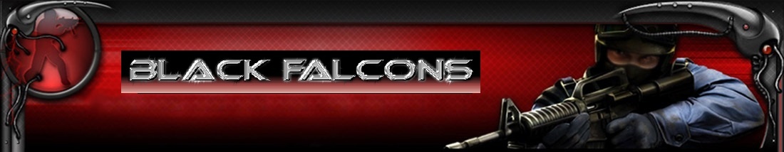 The Black Falcons
