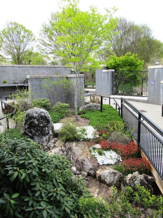 American Bonsai at the NC Arboretum - Page 3 Img_5011