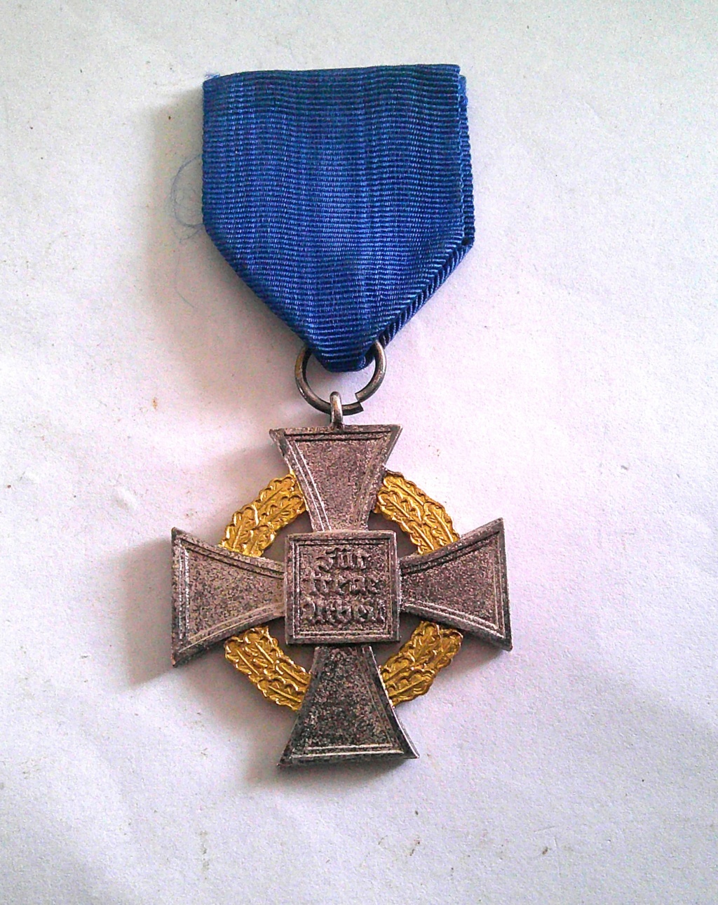 medaille 50 ans service dans le NSDAP Dscf0132