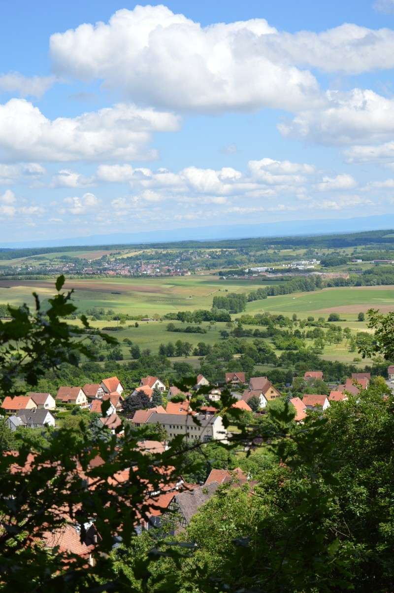 Rando avec les chiens Oberbronn-la Wasenbourg - Page 2 Dsc_0421