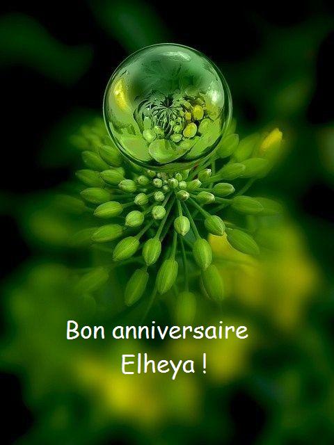 Bon anniversaire, Elheya ! Elheya10
