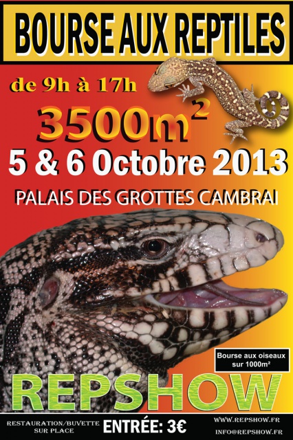Bourse aux reptiles Cambrai [OCTOBRE 2013] 82464810