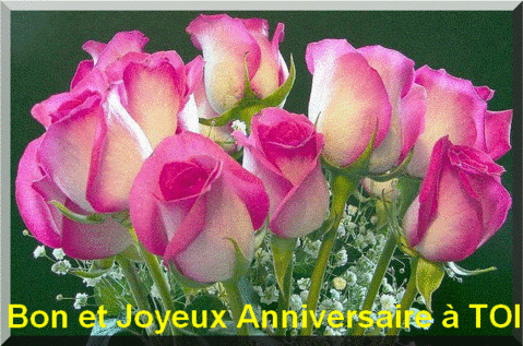Bon Anniversaire Zara Bon Anniversaire Zara