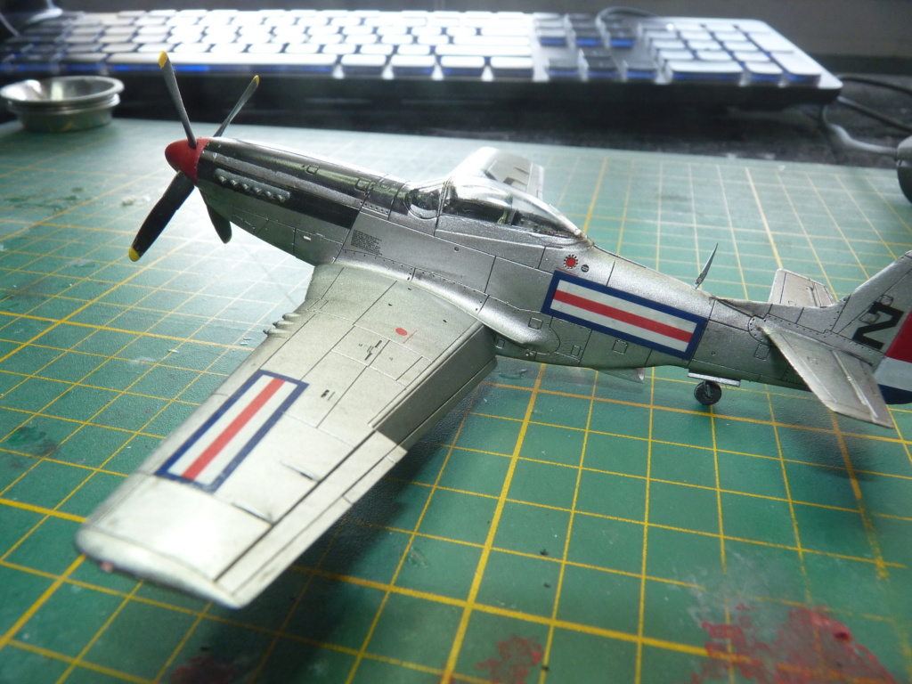 [Airfix] P51-D P1040639