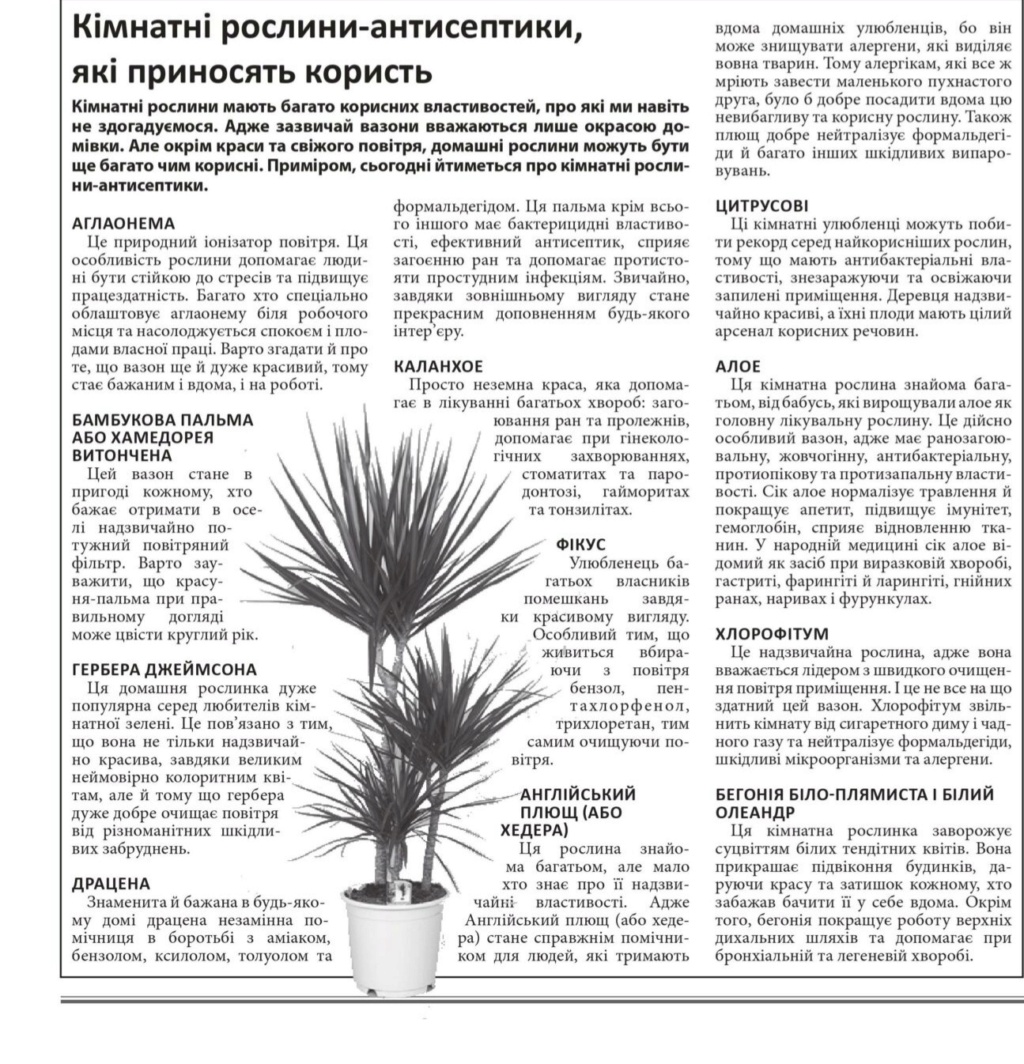 статьи о растениях из  газет и журналов - Страница 9 Gazeta10