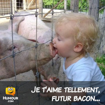 humour blagues - Page 5 Jetaim10
