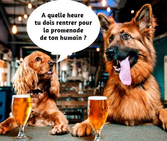 Humour Covid   - 2°confinement - 91633611