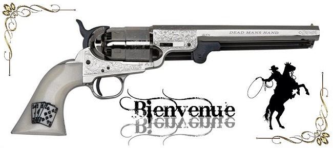 présentation Gunship Colt1820