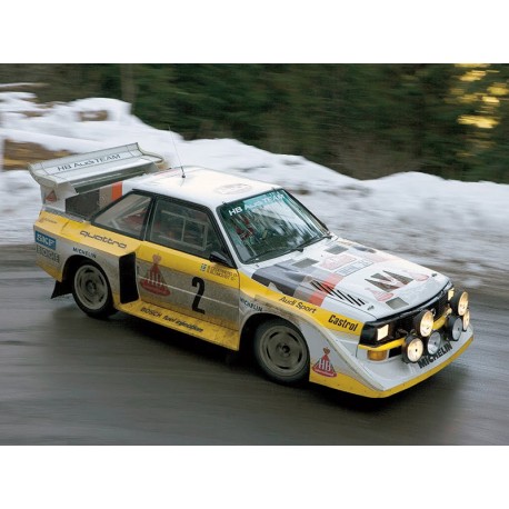 Audi Sport Quattro S1 E2 Beemax - Page 4 01_194