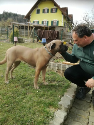 Lucy/Rezi Lesencetomaj lebt glücklich in Österr. 1307