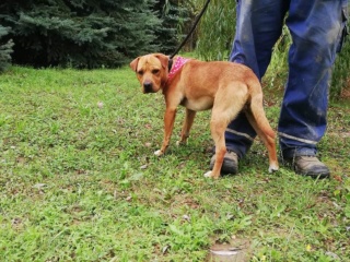 Aiko, (A Baby 2018) Karmacs lebt glücklich in Österreich Img_7430