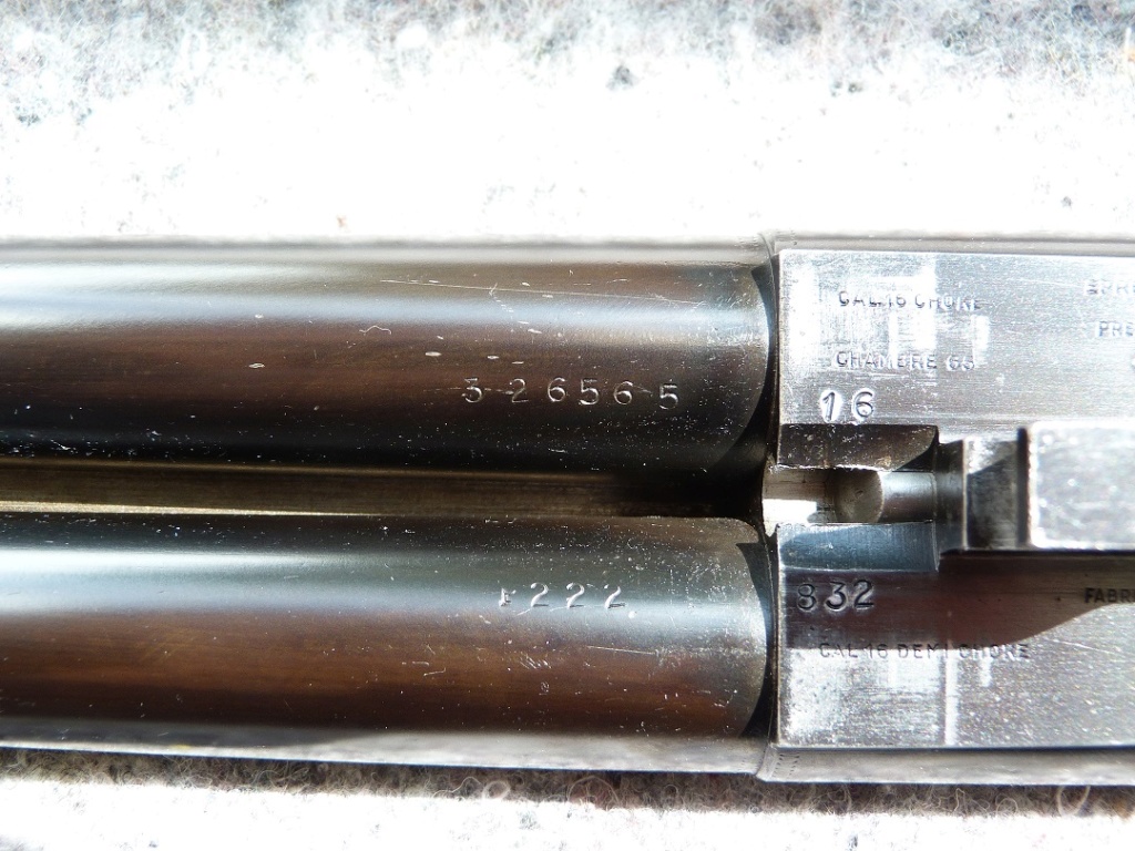 Fusil robust 222 P1120518