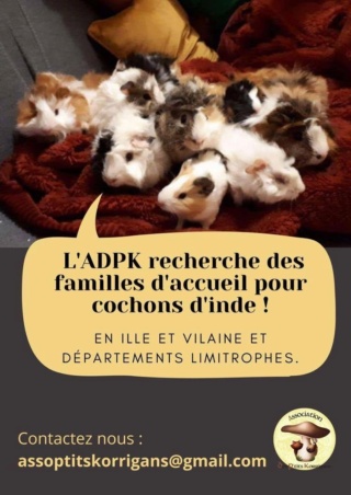 Recherche Familles d'accueil Nacs 14586911