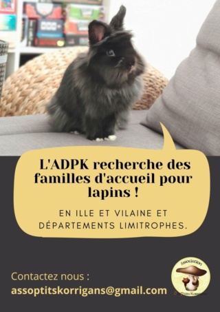 Recherche Familles d'accueil Nacs 16964311